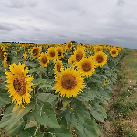 Maison De Charme Nyaraló Saint-Georges-des-Agoûts