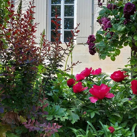 Maison De Charme * Saint-Georges-des-Agoûts