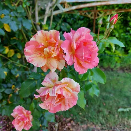 Maison De Charme Nyaraló