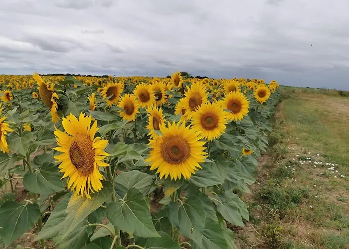 Maison De Charme Сasa de vacaciones Saint-Georges-des-Agoûts
