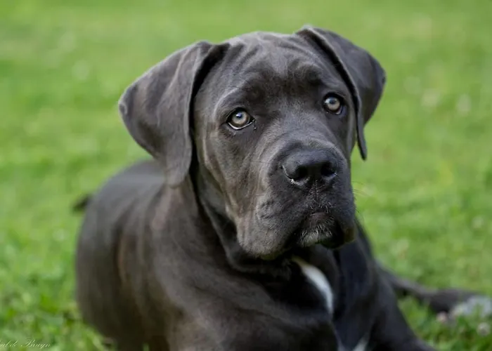 Maison De Charme * Saint-Georges-des-Agoûts