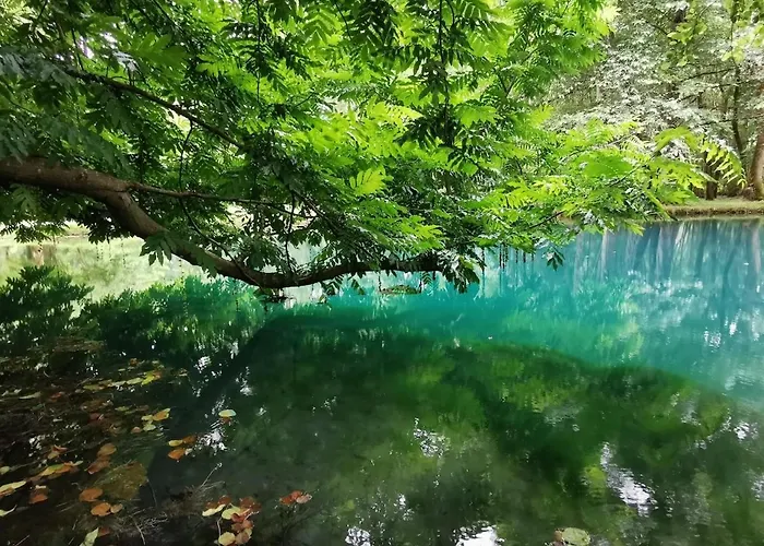 Maison De Charme * Saint-Georges-des-Agoûts
