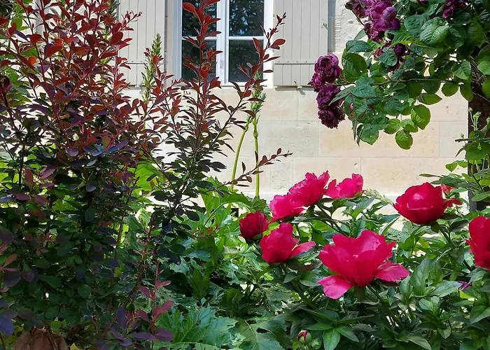 Maison De Charme * Saint-Georges-des-Agoûts