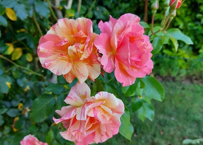 Maison De Charme Сasa de vacaciones